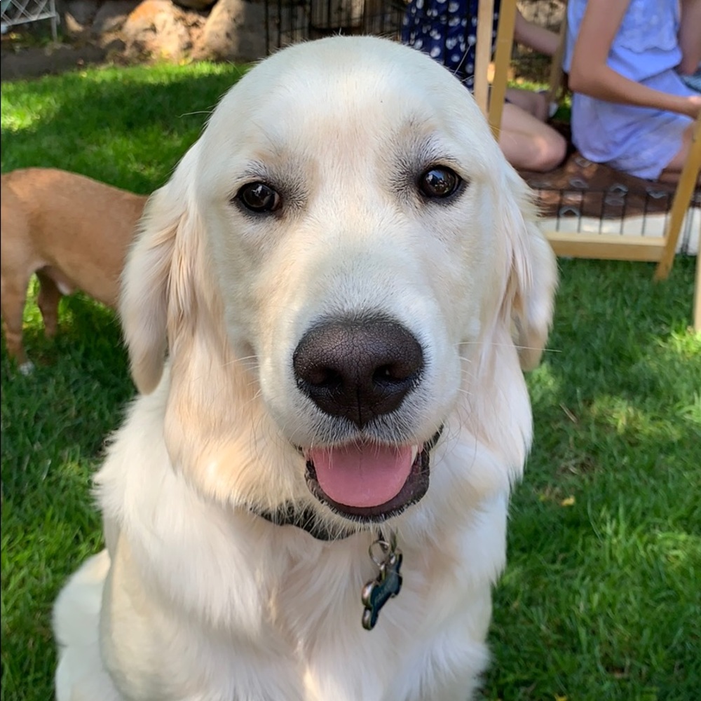 Meet your Posher, Pamela